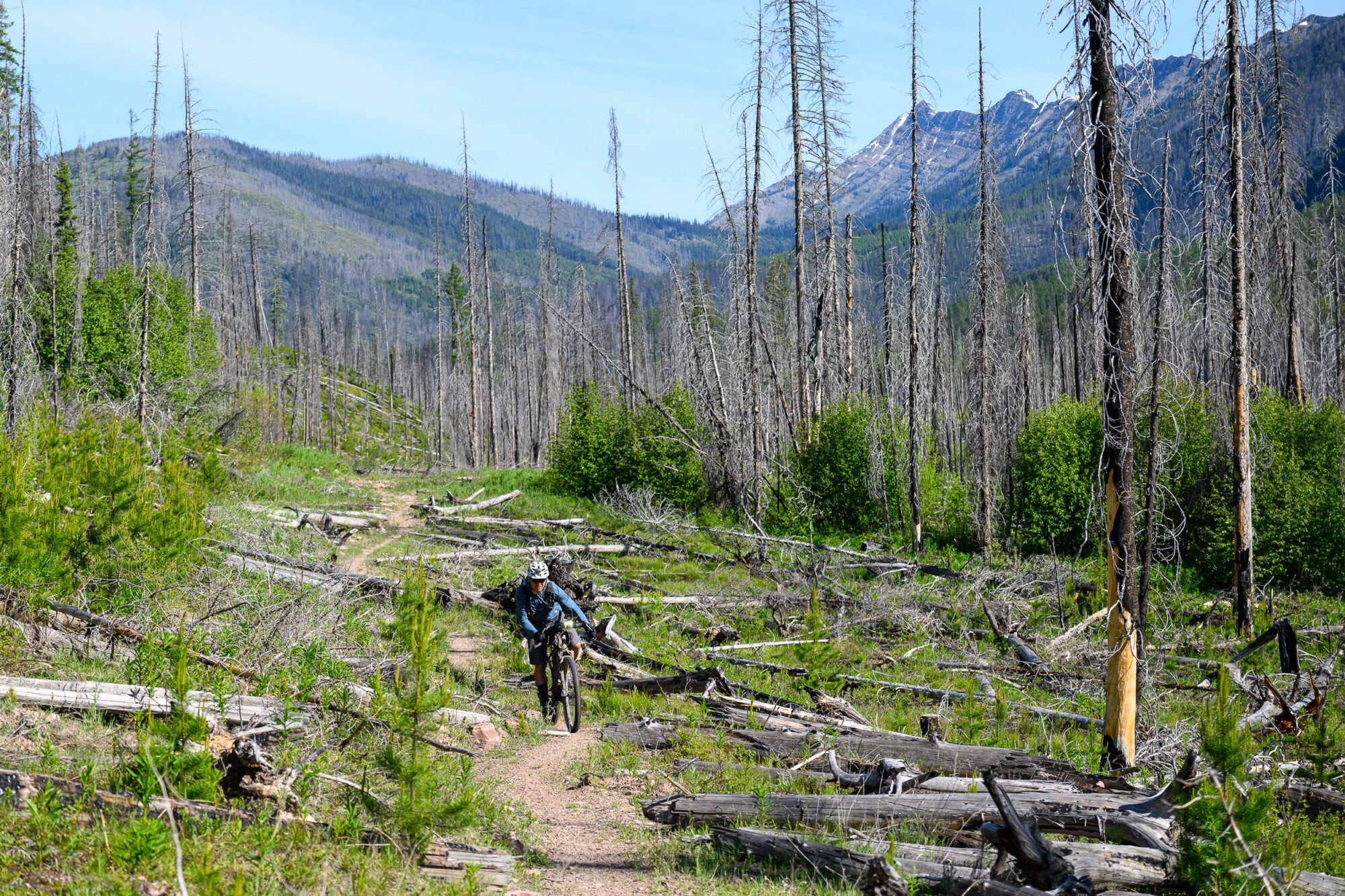 2026 Tour Divide Day 5 recap
