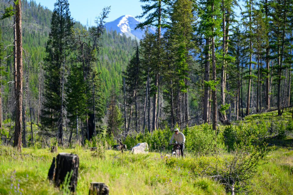 2026 Tour Divide Day 5 recap