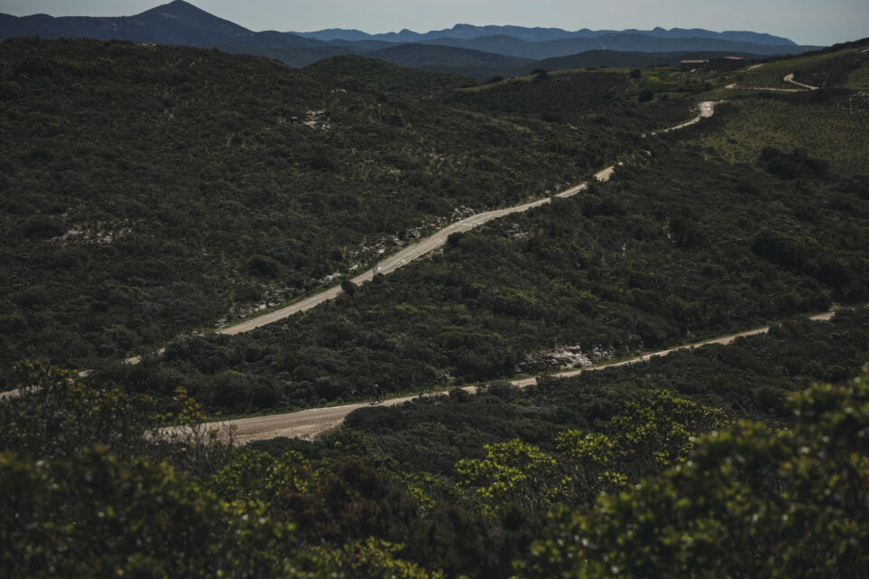 Lael Sardinia Rally 2026