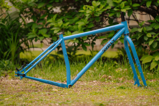 dsc_7345