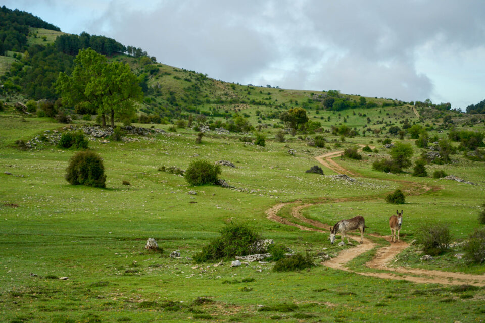Sierras de Cazorla Segura y Las Villas
