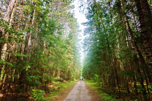 Up North Loop Bikepacking Route