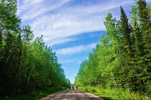Up North Loop Bikepacking Route