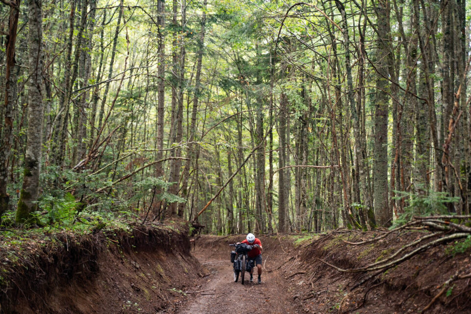 Wheels Over Warlands, Bikepacking the Balkans