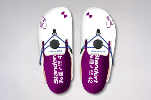 ZEEBRAHAM slides