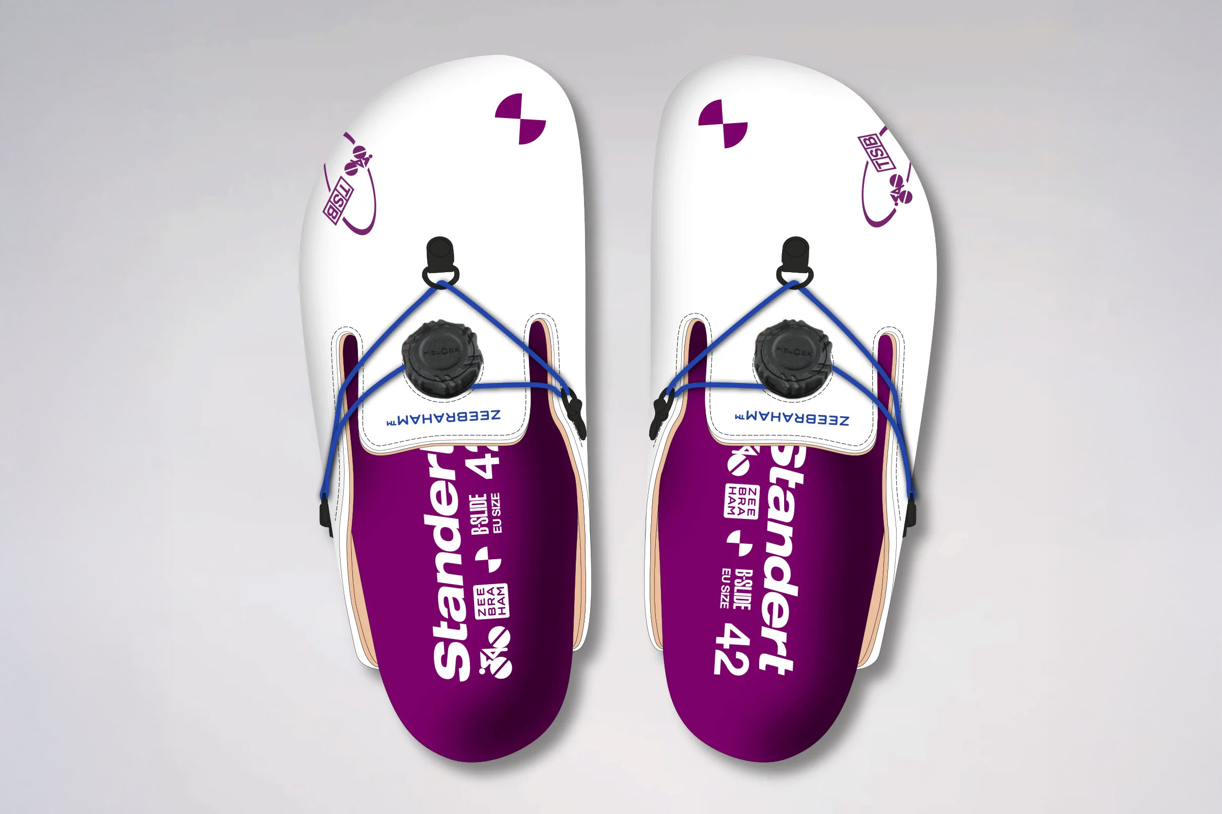 ZEEBRAHAM slides