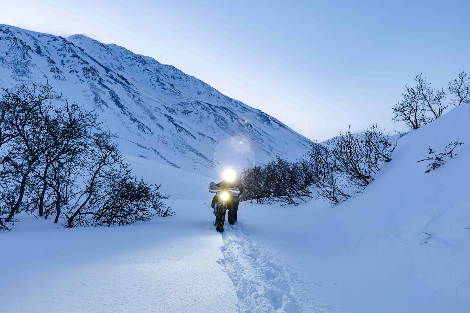 in your mind iditarod trail