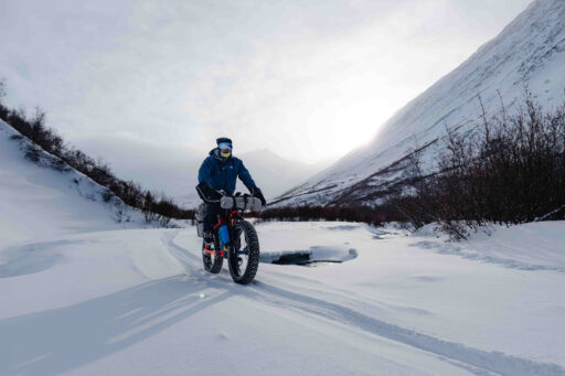 in your mind iditarod trail