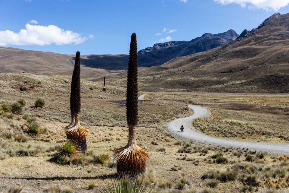 Conexion Oyon, Peru