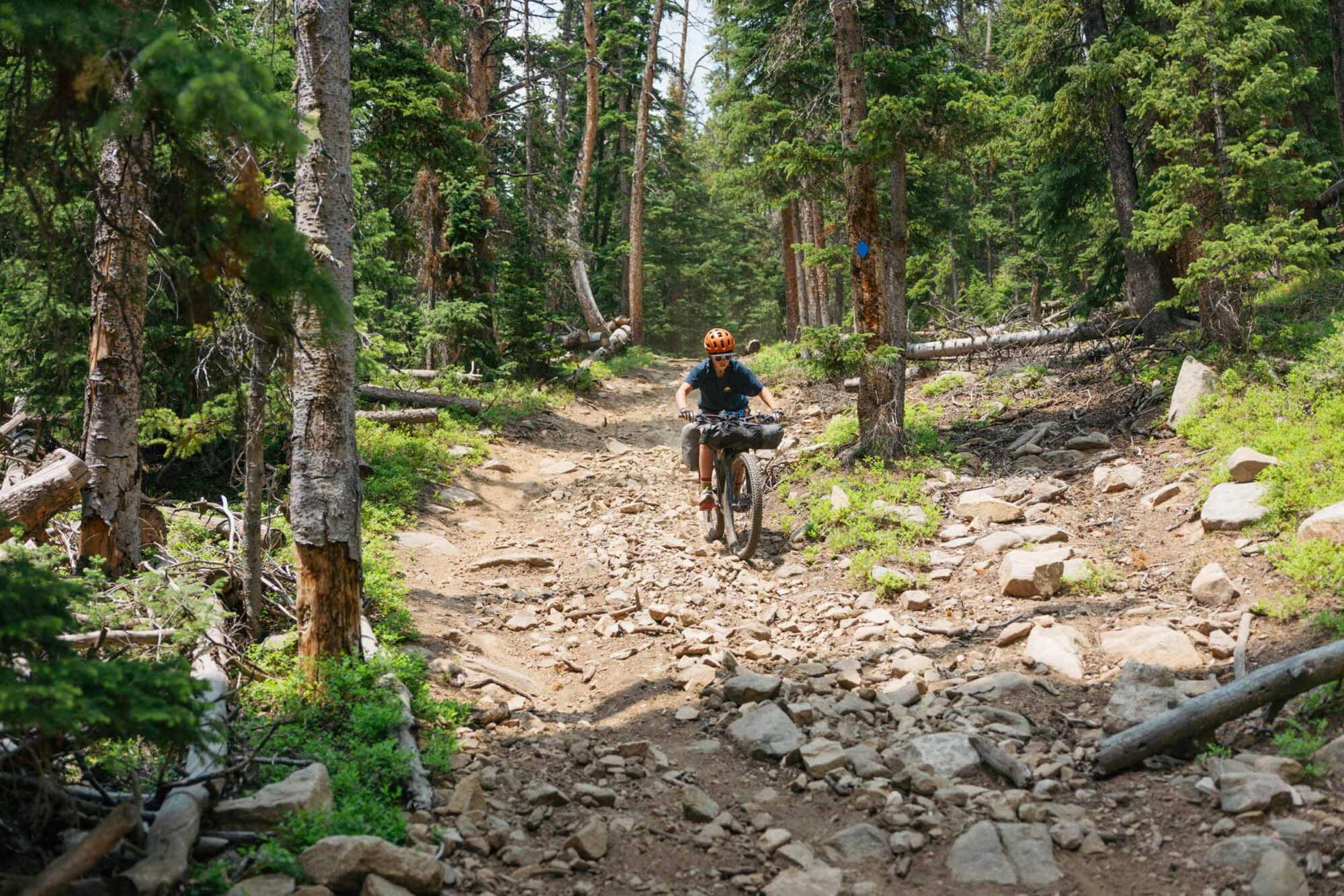 Bikepacking Rollins Pass