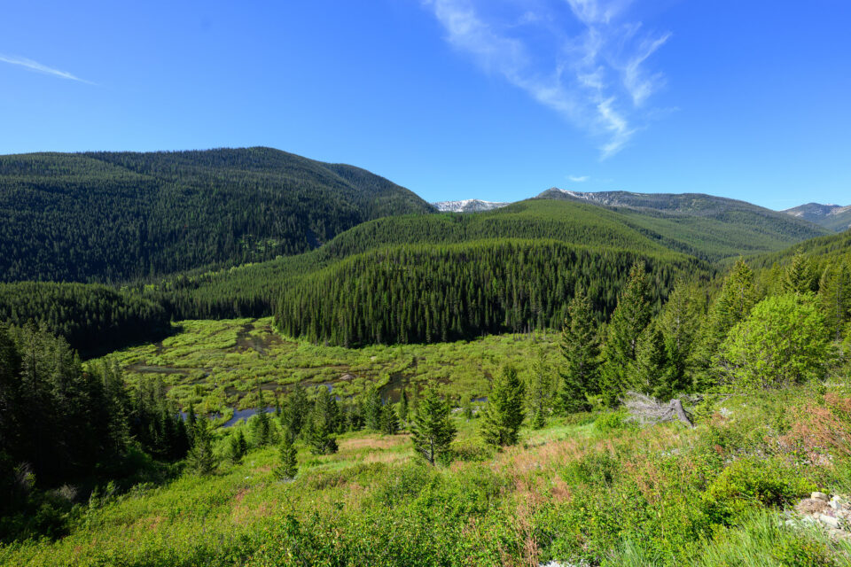 Tracing the 2026 Tour Divide Eddie Clark