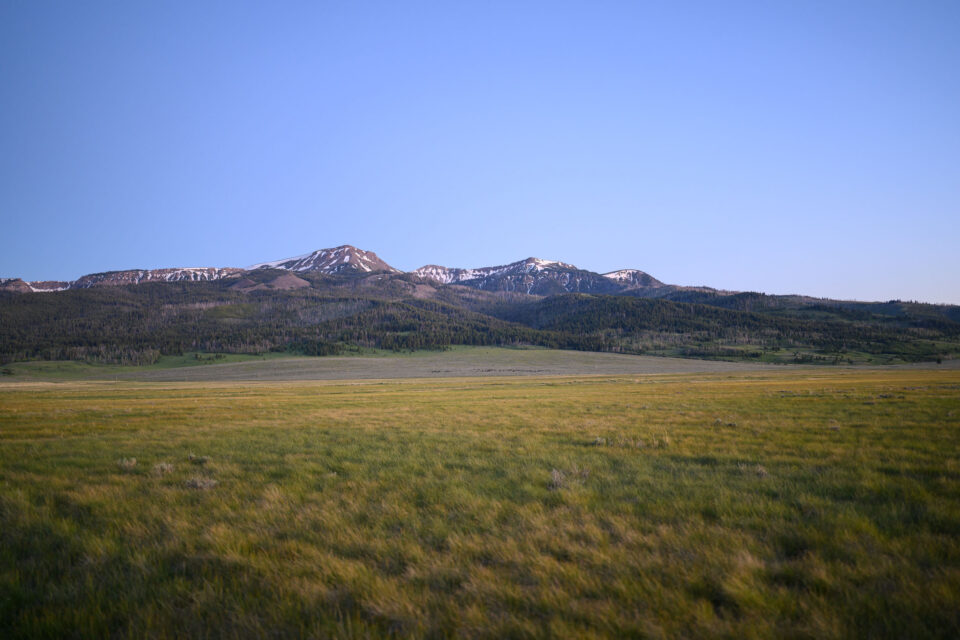 Tracing the 2026 Tour Divide Eddie Clark