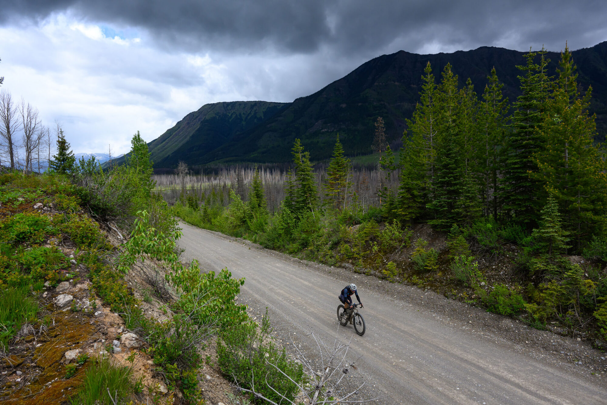 Tracing the 2026 Tour Divide Eddie Clark
