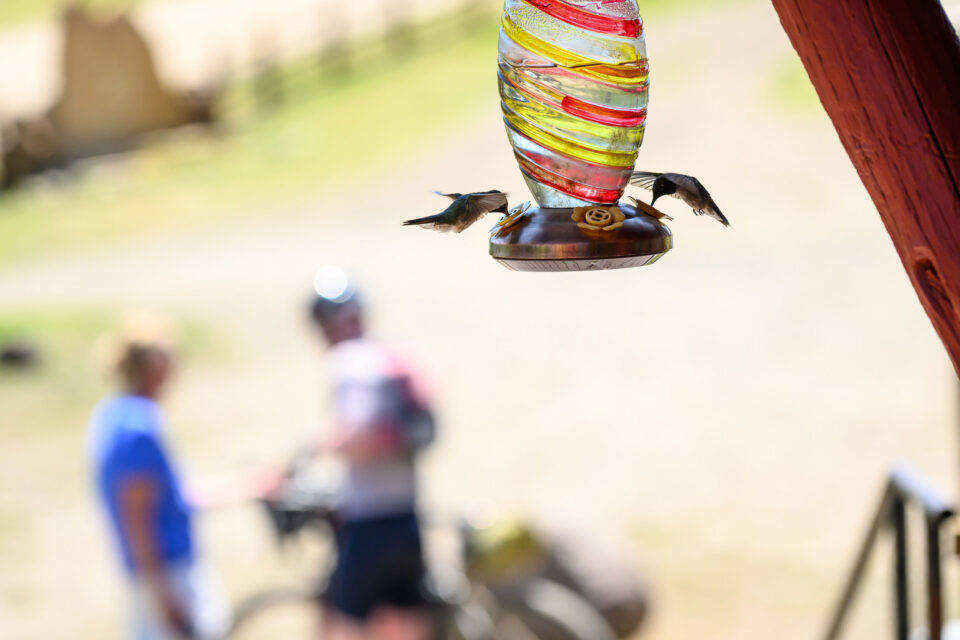 Tracing the 2026 Tour Divide Eddie Clark