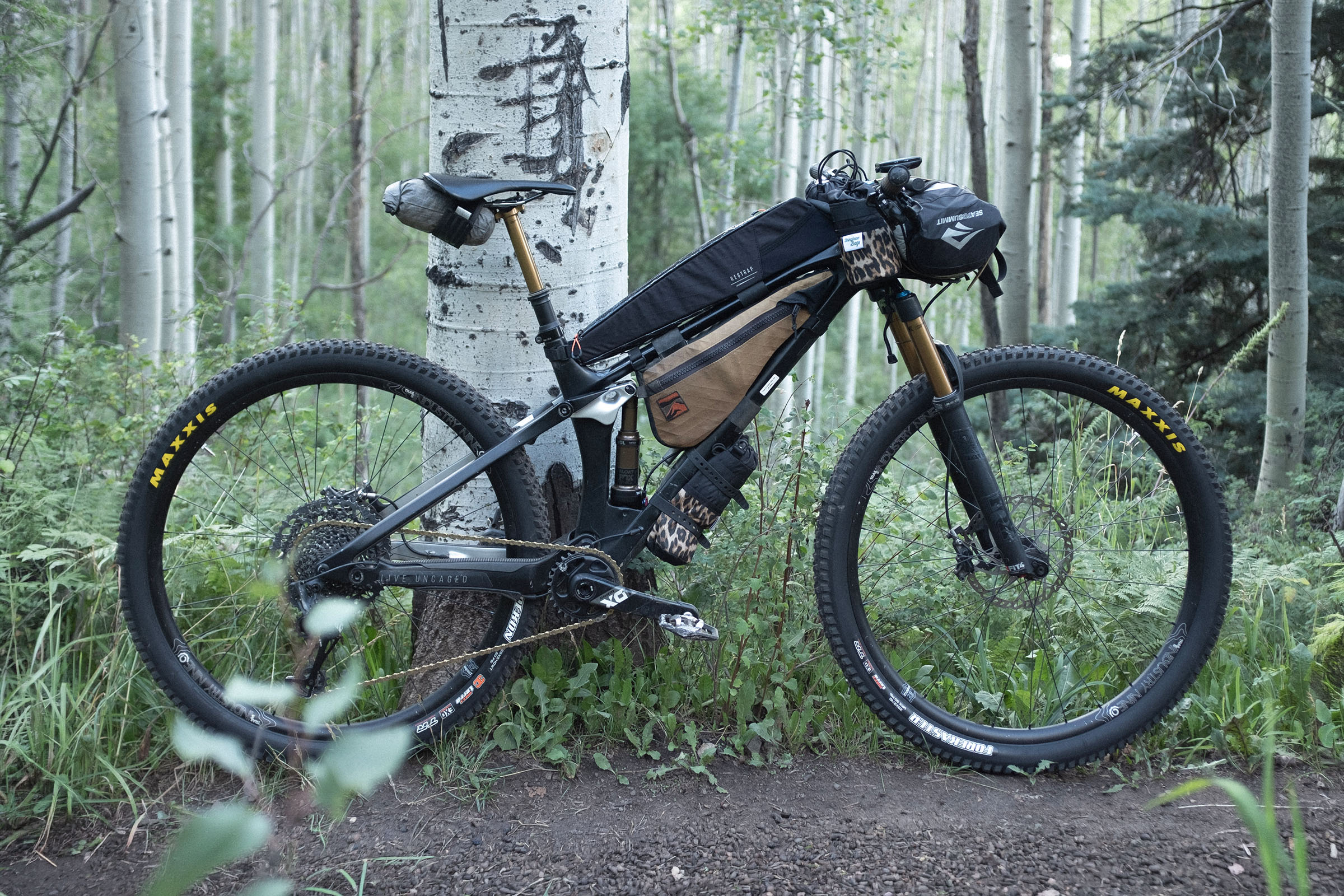 2026 colorado trail race rigs