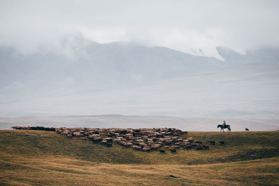 Bikepacking Central Asia