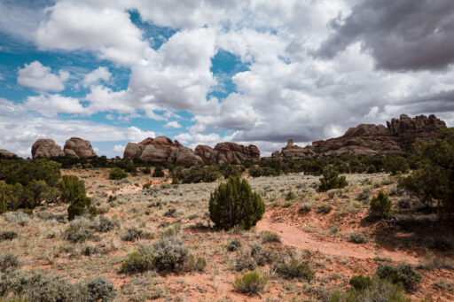 Beef, Needles and Elephants Bikepacking Route