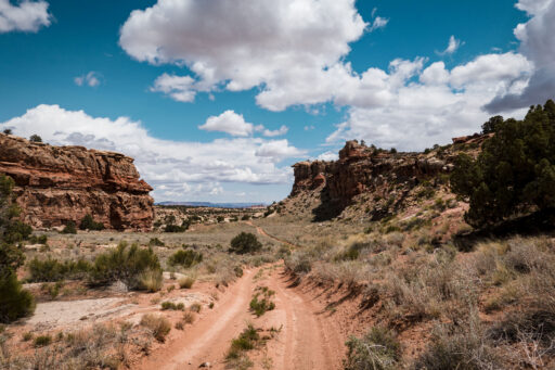 Beef, Needles and Elephants Bikepacking Route