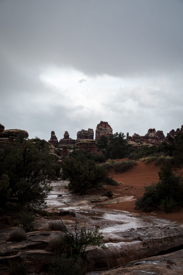 Beef, Needles and Elephants Bikepacking Route