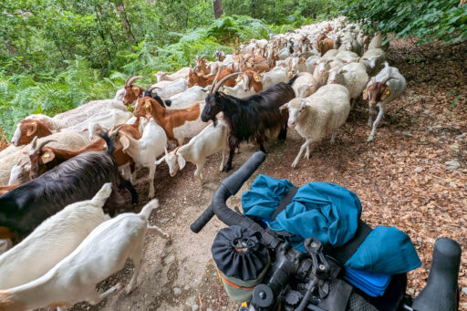 Beef with the Border Bikepacking Route