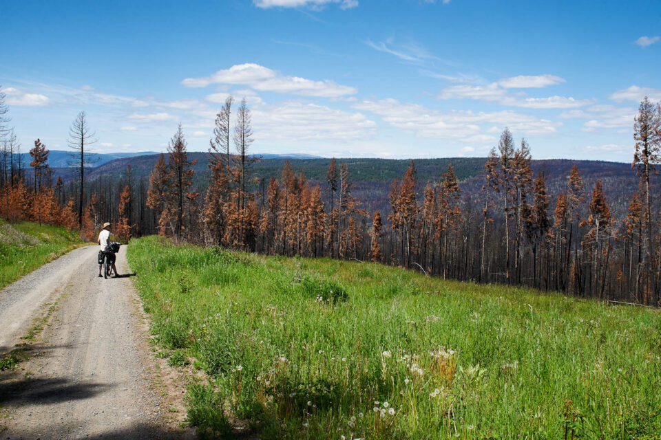 The Best Campsite's Just an Hour and a Half Away