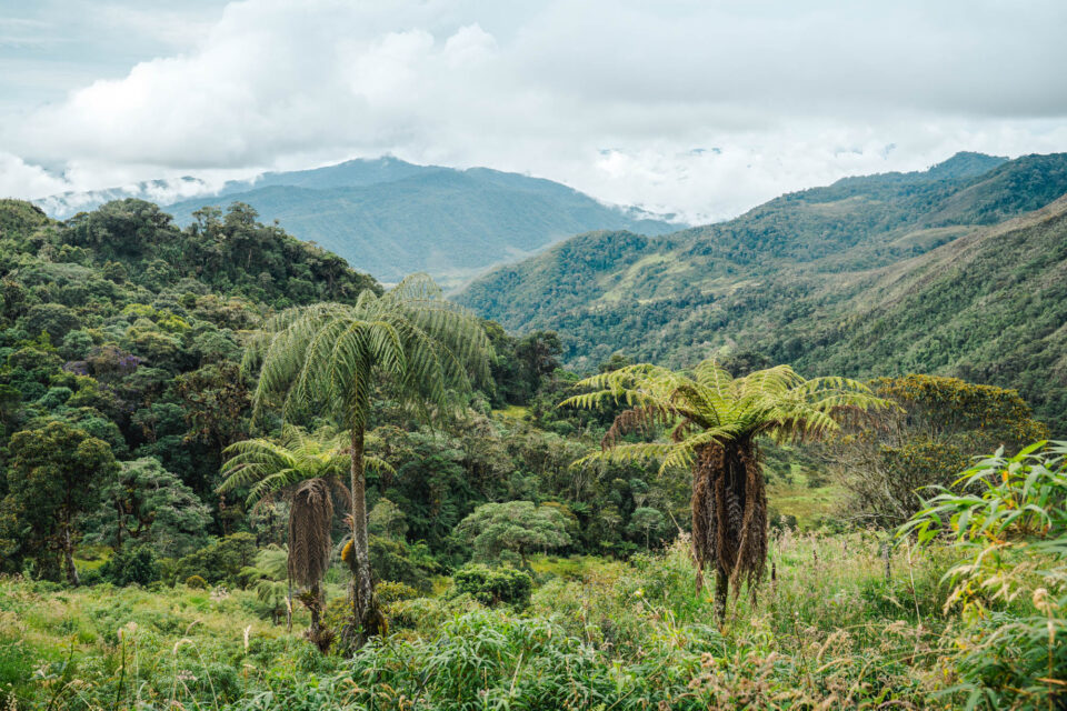 Buena Nota Colombia, Bikepacking Colombia