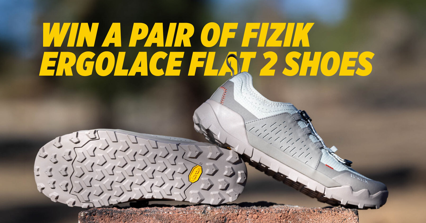 Collective Reward #250: Fizik Ergolace Flat 2 Shoes