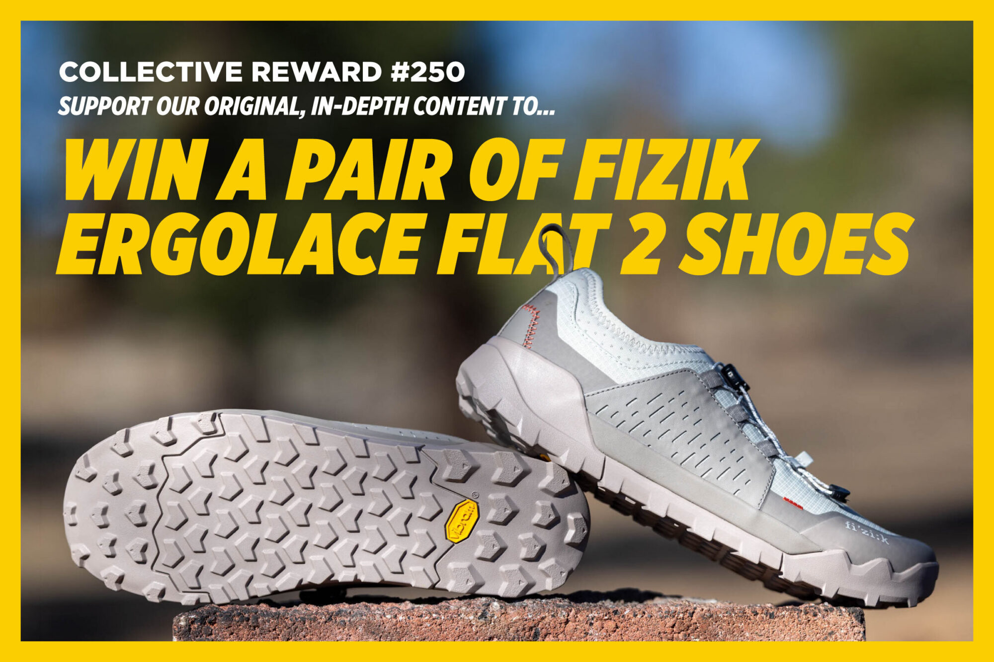 Collective Reward 250