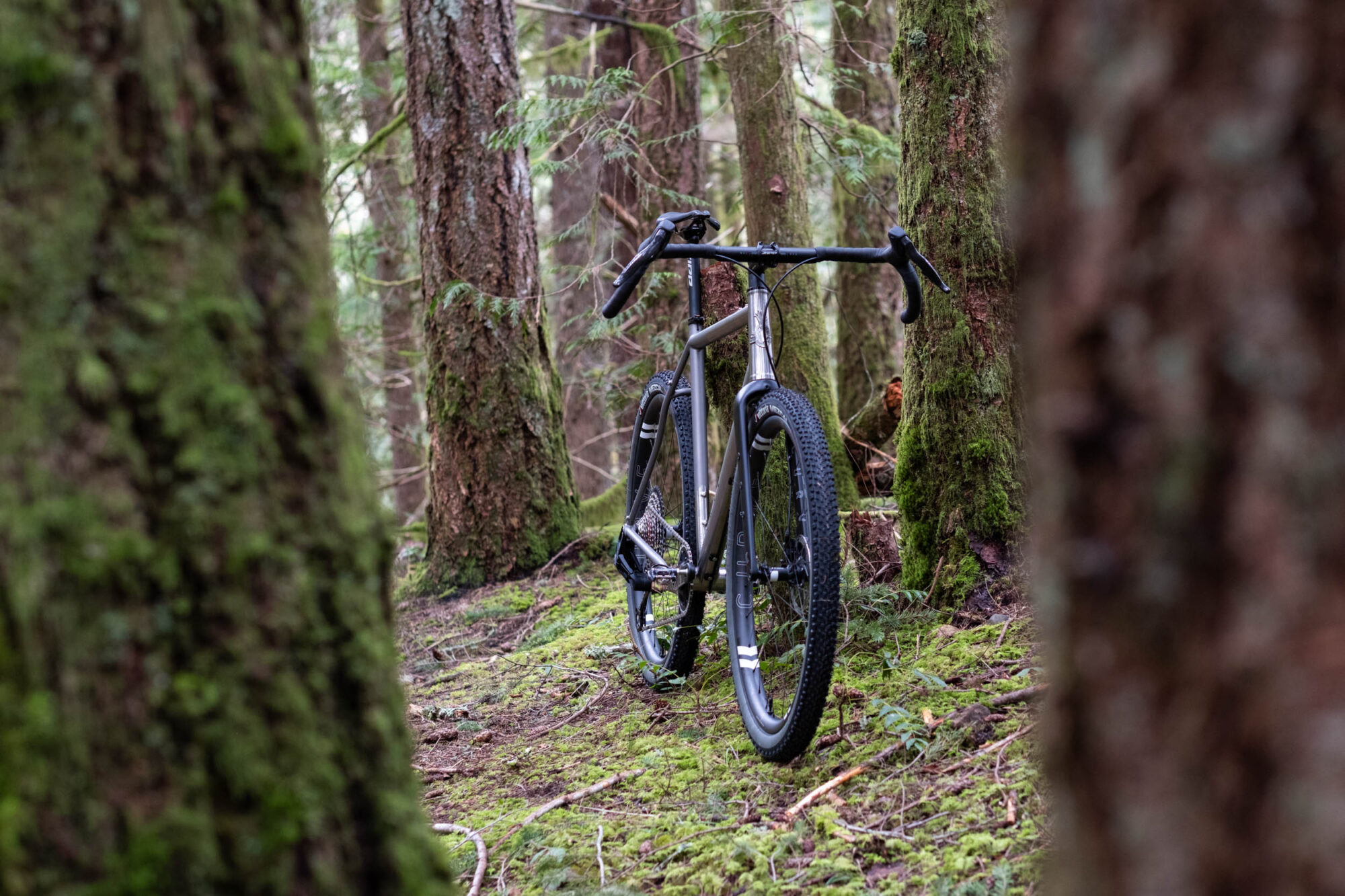 Curve Big Kev V2 Review