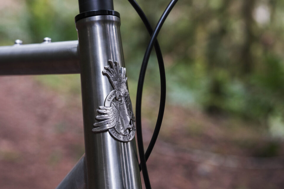 Curve Big Kev V2 Review