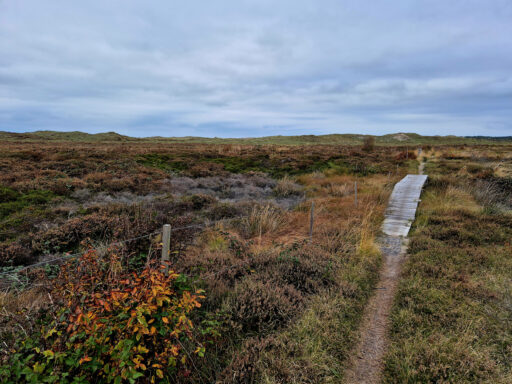 Dutch Coast Overnighter