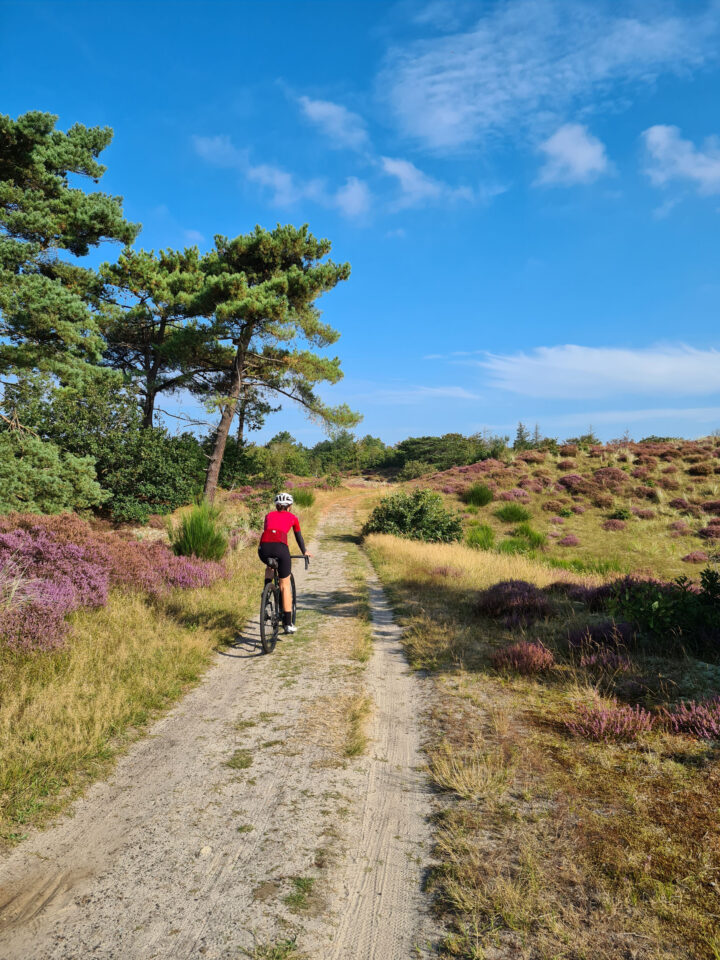 Dutch Coast Overnighter