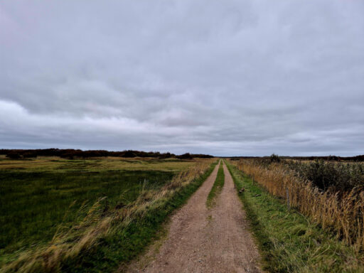 Dutch Coast Overnighter