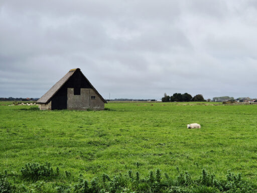 Dutch Coast Overnighter