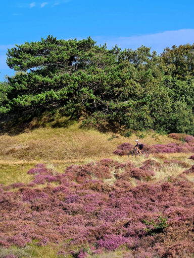 Dutch Coast Overnighter