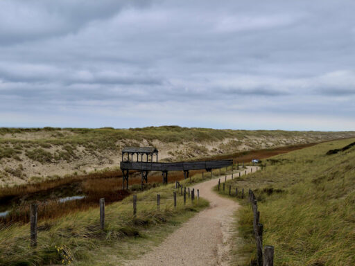 Dutch Coast Overnighter