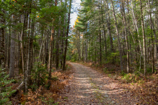 Hub of Aroostook