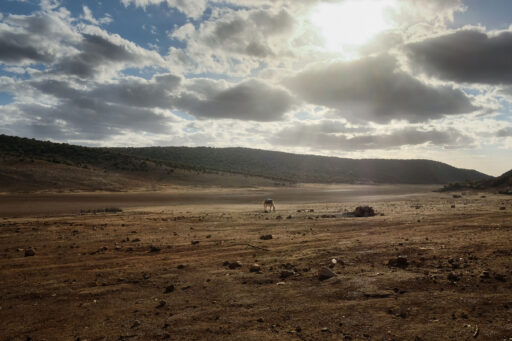 National Parks of the Middle Atlas bikepacking route