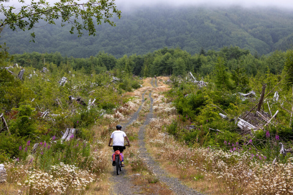 Serious Bicycles