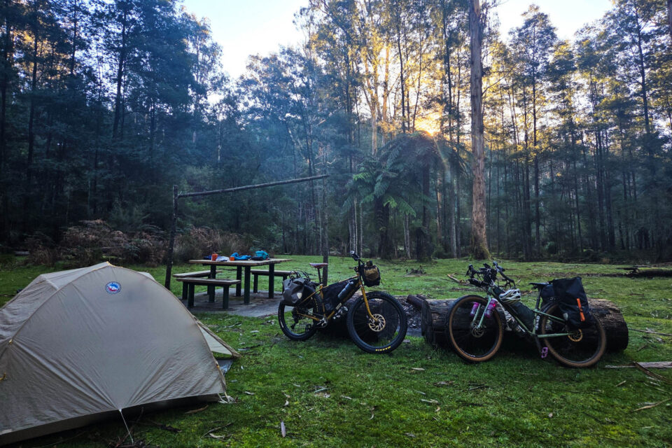 Weekend Snapshot
