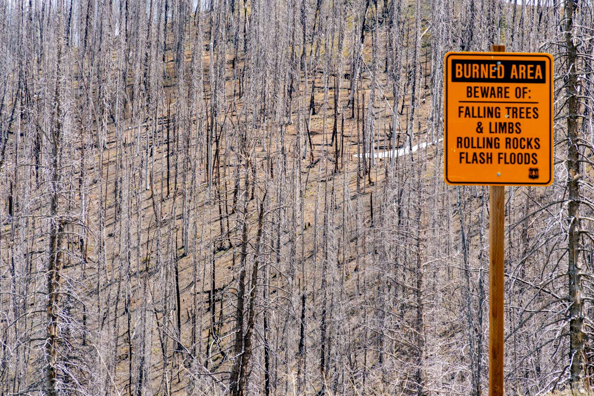Are Wildfires Changing Bikepacking?