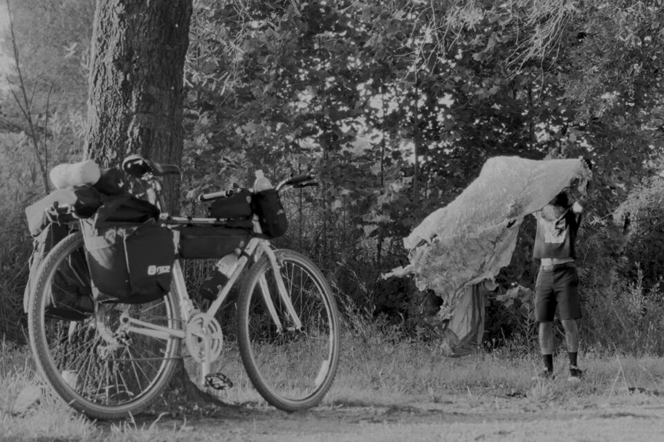 How I Won the 2026 Swift Summer Campout