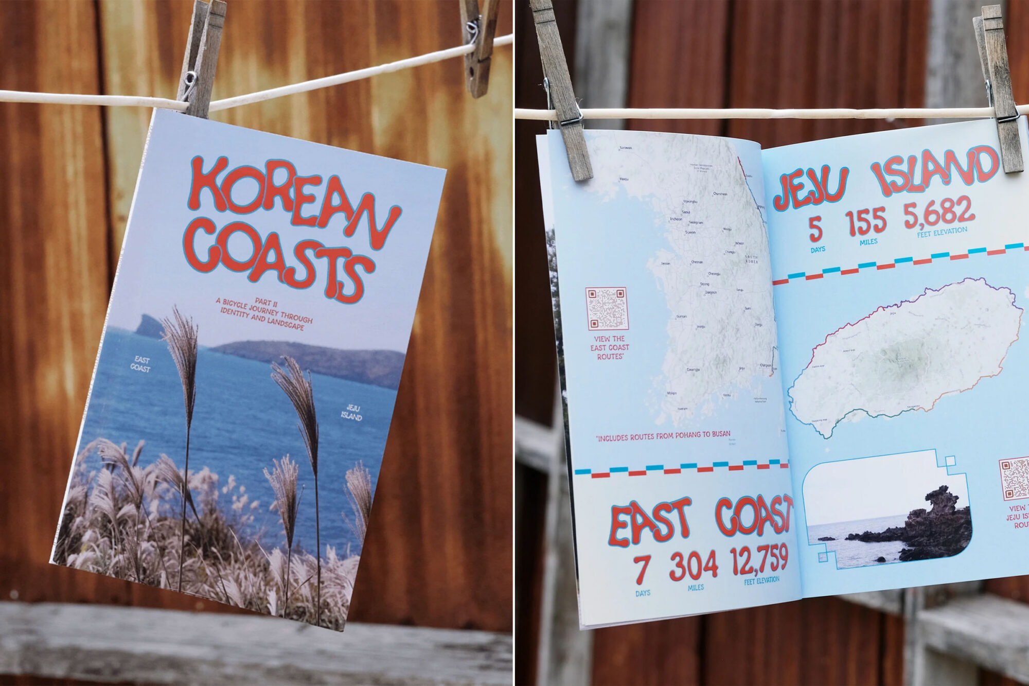 molly sugar korean coasts zine