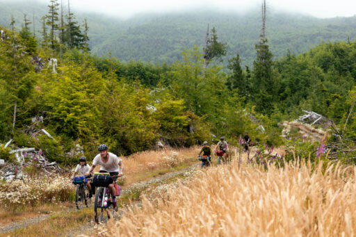 restless alice, vancouver island bikepacking