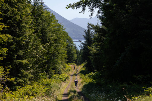 restless alice, vancouver island bikepacking
