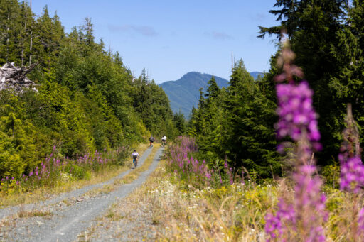 restless alice, vancouver island bikepacking