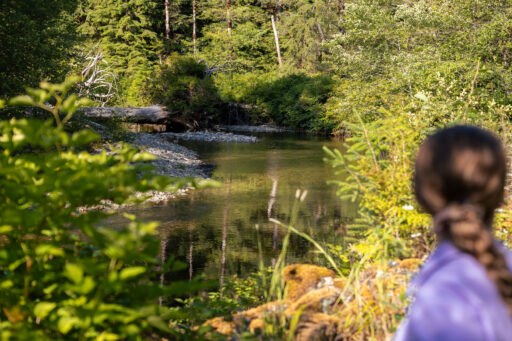 restless alice, vancouver island bikepacking