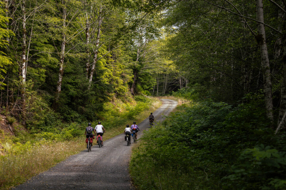 restless alice, vancouver island bikepacking