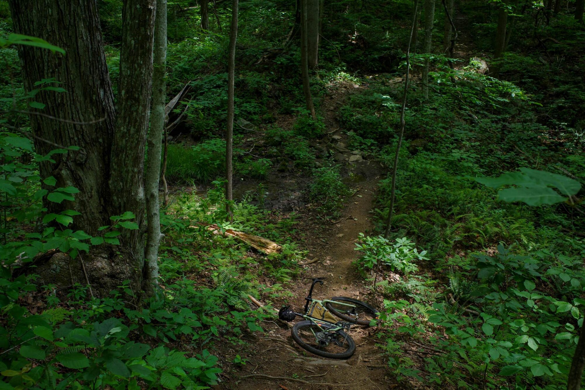 Slug CrMo Earthling Review