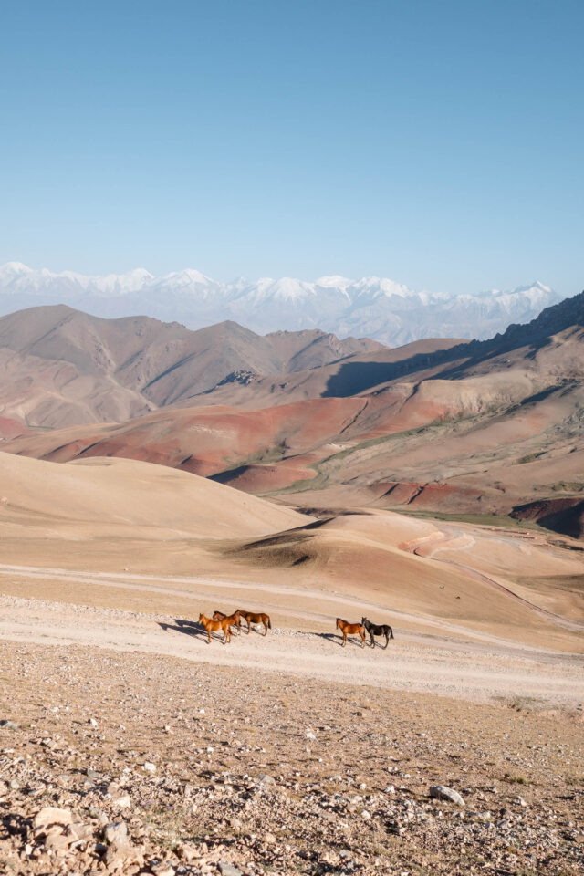 Silk Road Mountain Race
